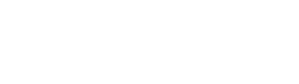 Vanity-Fashions-Logo